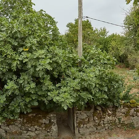 Apartamento A Cucada *